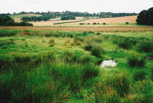Click for the gallery page to add comments and vote (PID:102984) Picts Knowe