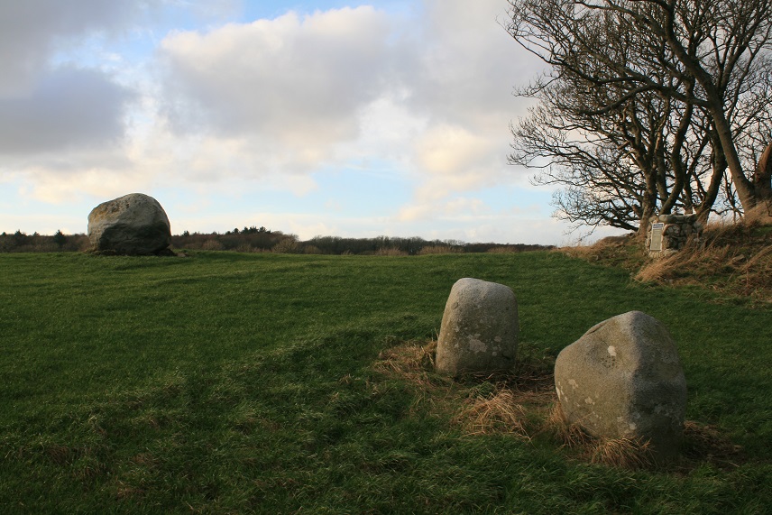 Click for the gallery page to add comments and vote (PID:117026) Wren's Egg