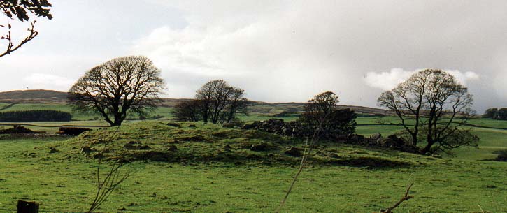 Click for the gallery page to add comments and vote (PID:1860) Mains of Larg cairn