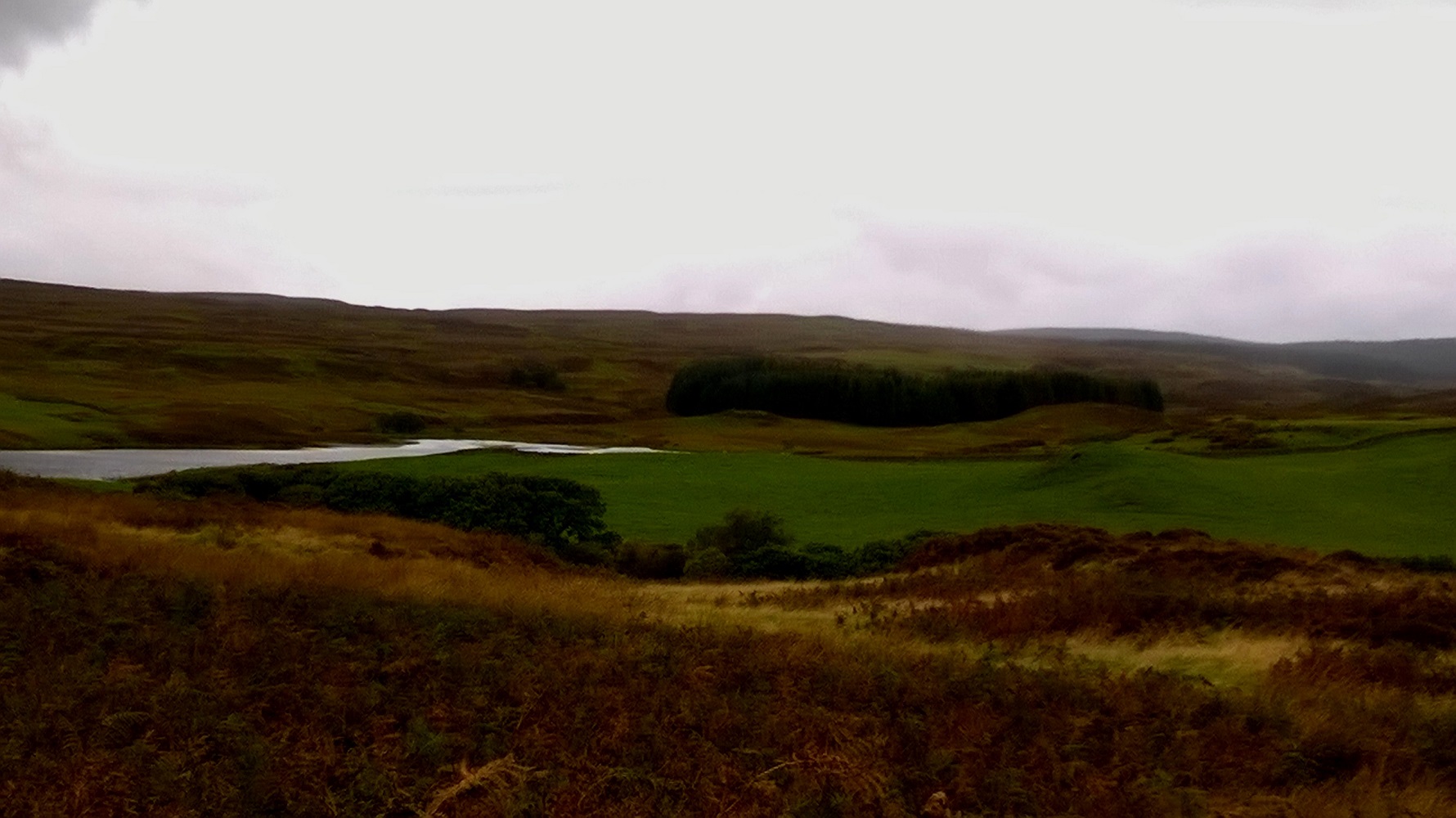 Lairdmannoch