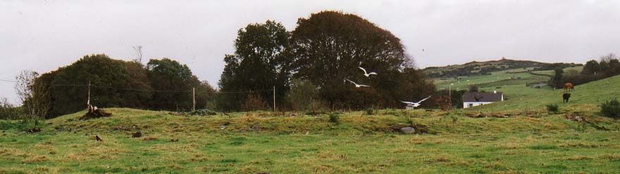 Click for the gallery page to add comments and vote (PID:1869) Spittal Croft cairn