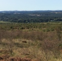 Barclye Rocking Stone