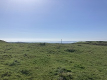 Camrie Fell