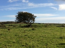 Loch Head