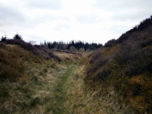 The Knowe