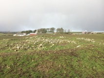 Torhousekie Farm Cairn
