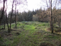 White Cairn, Bargrennan