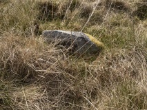 Cauldside Burn Stone Circle