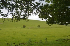 Spittal Croft cairn