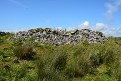 Culroy White Cairn
