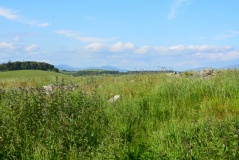 White Cairn (Crouse)