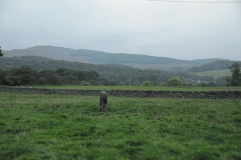 Harper's Hill Standing Stone