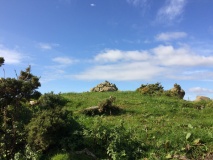 Court Cairn, The May