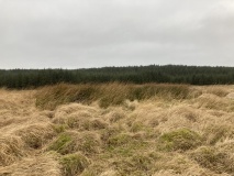 Drumanwherran S Cairn Cemetery