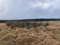 Drumanwherran S Cairn Cemetery
