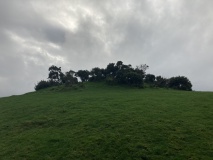 Mains of Larg NE