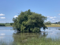 Milton Loch SE