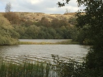 Whitefield Loch Crannog