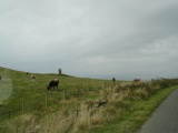 Knockinaam Standing Stone - PID:220296