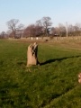 Poldean menhir - PID:192188