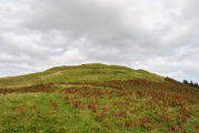 Tynron Doon - PID:51300