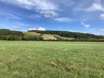Chlenry