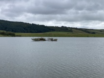 Cults Loch Crannog