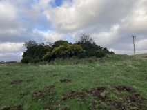 Cairn McNeilie