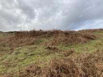Cairnerzean Farm NE