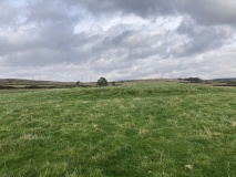 Glenchamber