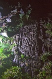 Neilson's Hill