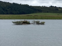 Cults Loch Crannog