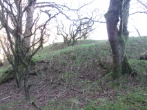 Drummore Hillfort