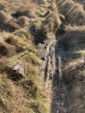 Cairnholy 6
