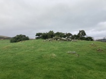 Mains of Larg NE