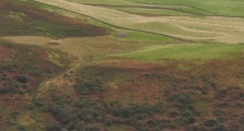 Grennan Hill - PID:51308