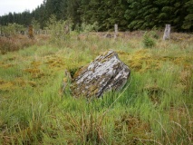 King Shaw's Grave