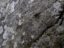 Lagganmullan 3