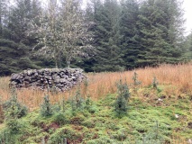 Claywarnies Cairn