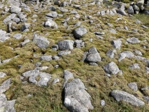 Knee of Cairnsmore