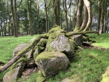 Cairn Wood (Barskeoch)