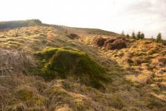 Bessie's Hill Fort