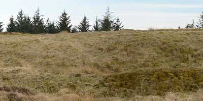 Bessie's Hill Fort