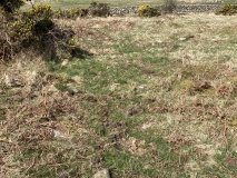 High Moor Hut Circle