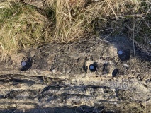 Cairnholy 6