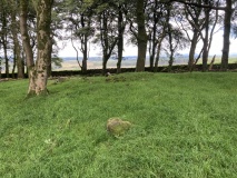 Cairn Wood (Barskeoch)
