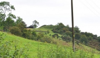 Hall Hill - PID:52182