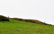Beacon Hill (Dumfries and Galloway) - PID:52203