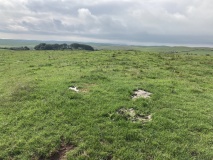 Doon Hill (Kildonnan)