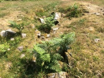 Drannandow Chambered Cairn